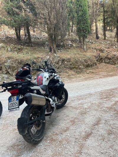 Benelli TRK 502X (2020) usata