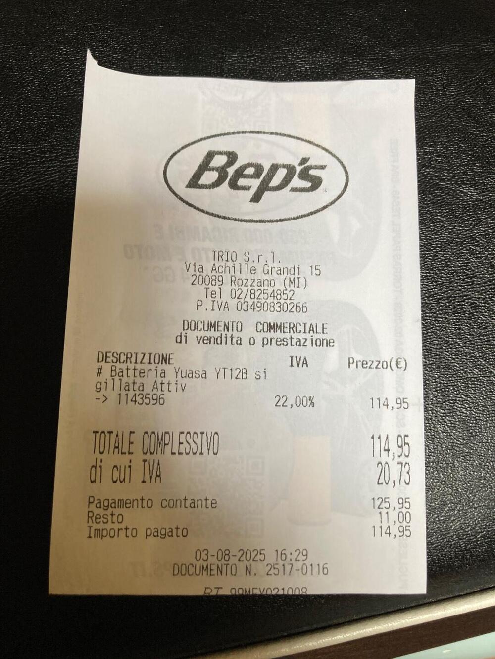 Triumph Bonneville T100 50th Anniversary (2009) (8)