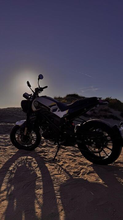 Benelli Leoncino 250 (2021 - 25) usata