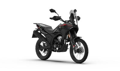 Morbidelli T125X (2025) nuova