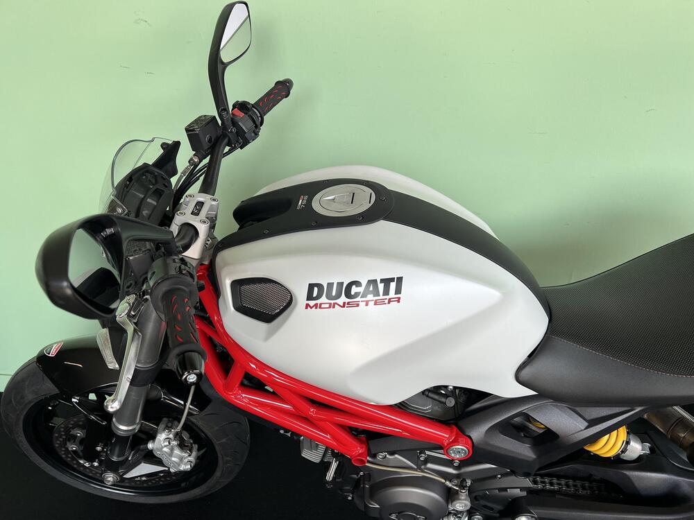 Ducati Monster 796 (2010 - 13) (16)