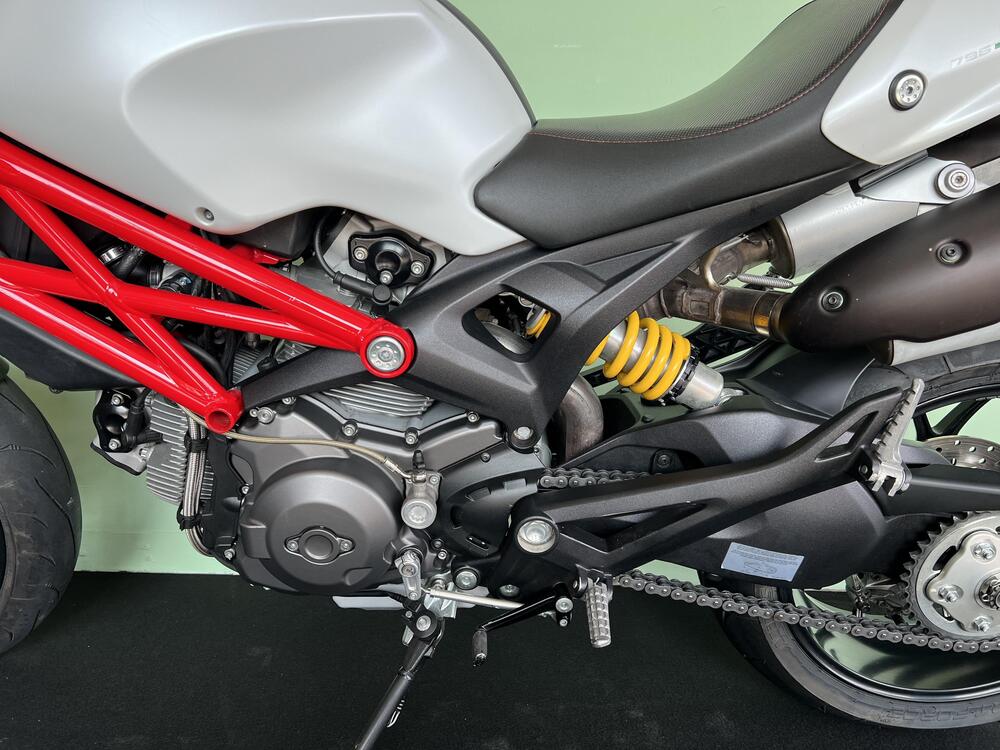 Ducati Monster 796 (2010 - 13) (18)