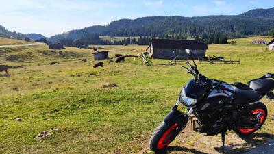 Yamaha MT-07 (2018 - 20) usata