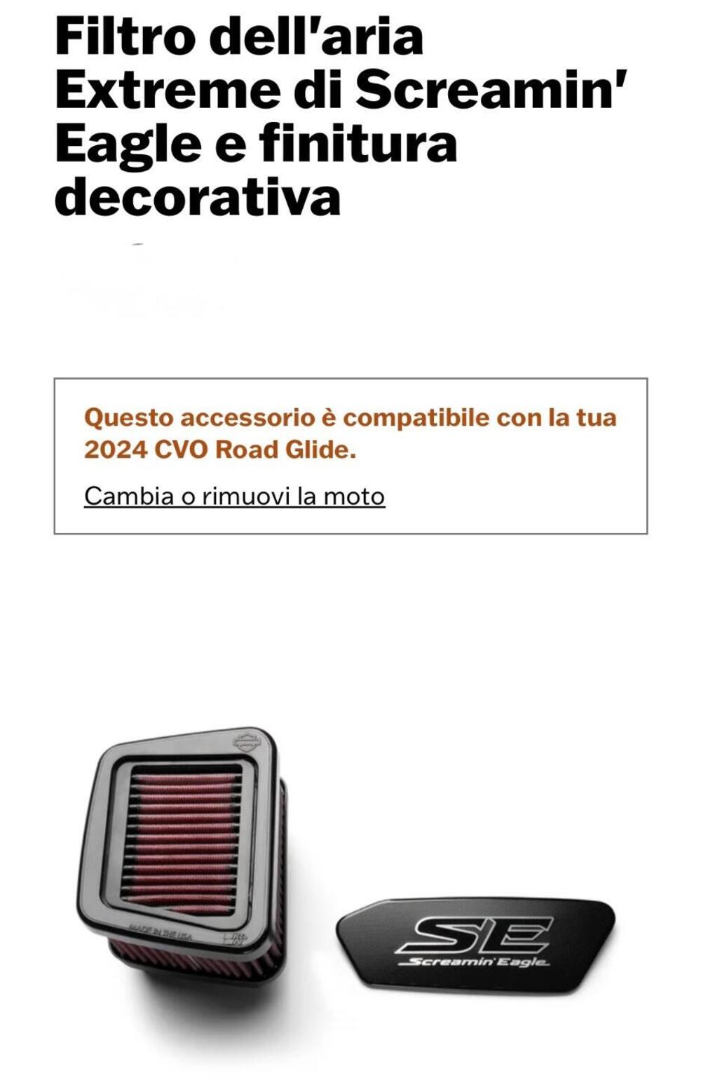 Harley-Davidson CVO Road Glide (2024) (11)