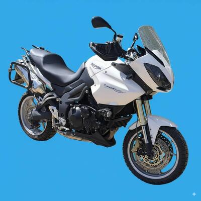 Triumph Tiger 1050 (2006 - 12) usata
