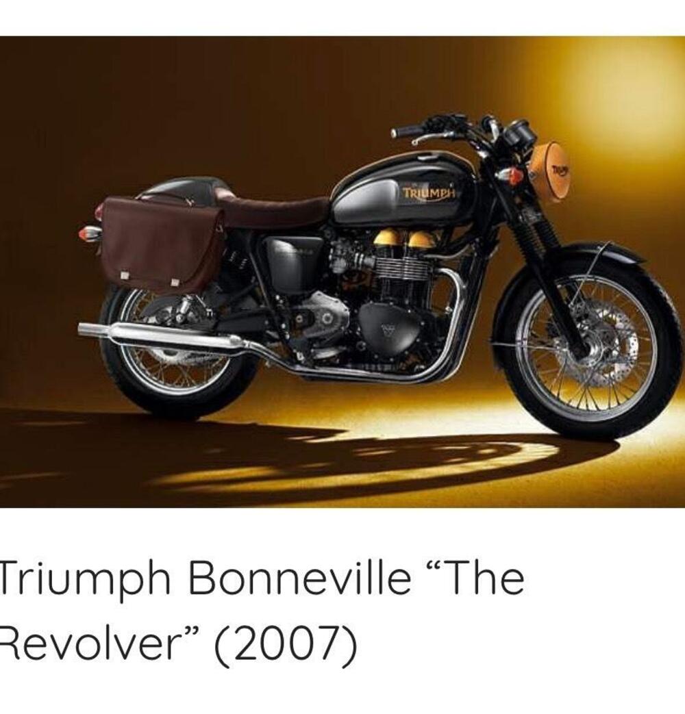 Triumph Bonneville T100 (2001 - 07) (6)