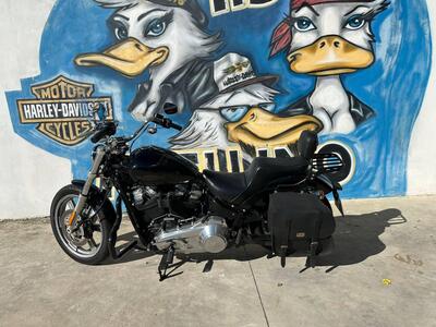 Harley-Davidson Softail Standard (2021 - 25) usata