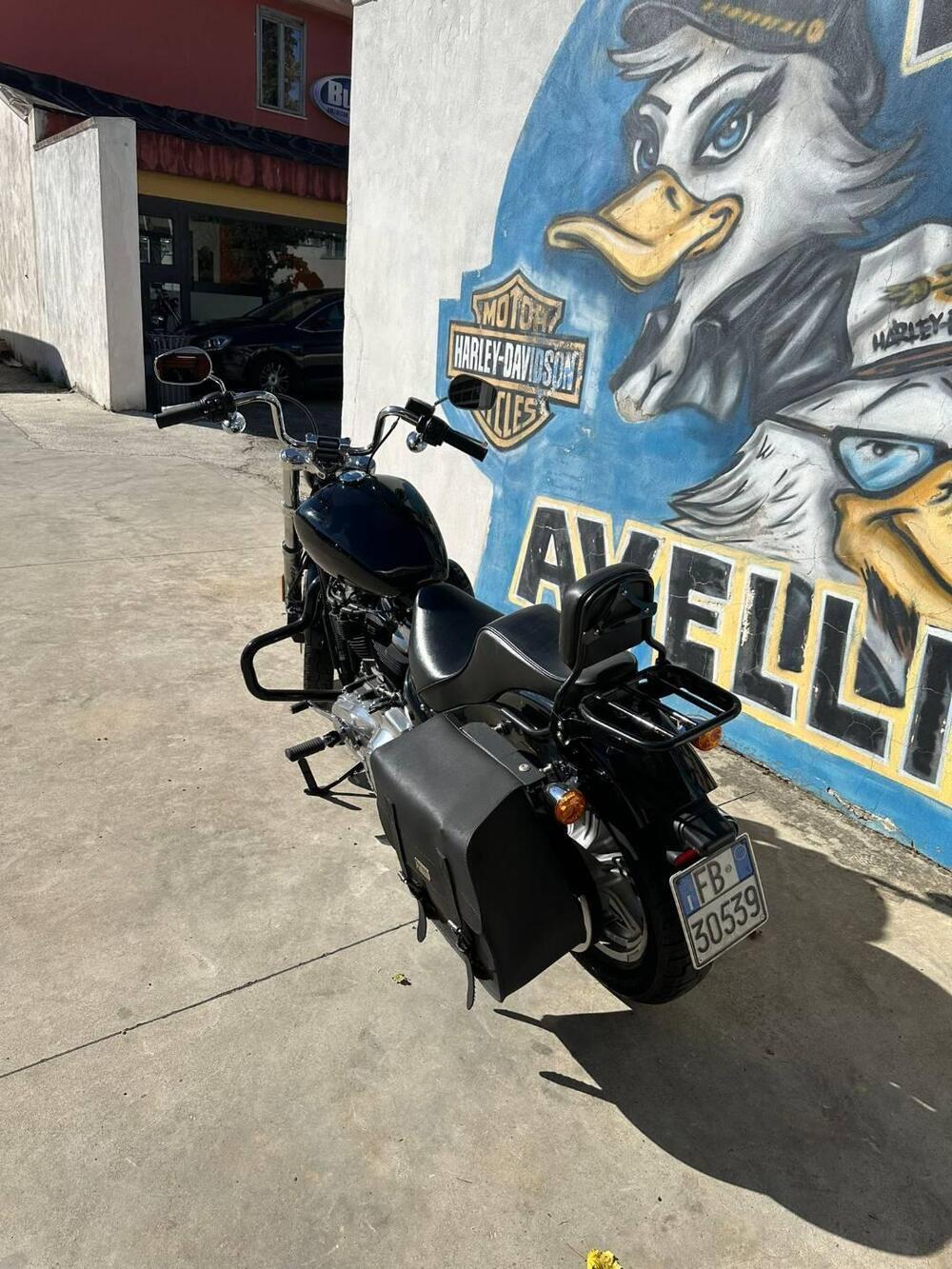 Harley-Davidson Softail Standard (2021 - 25) (6)