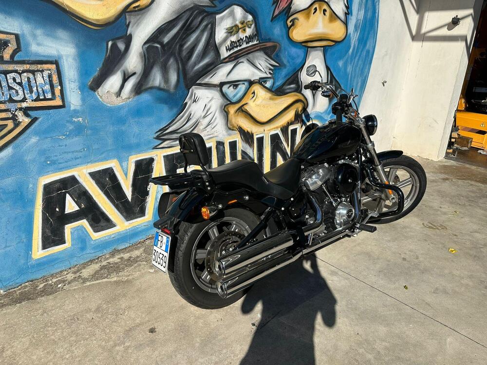 Harley-Davidson Softail Standard (2021 - 25) (3)