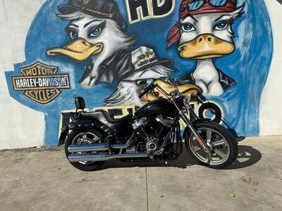 Harley-Davidson Softail Standard (2021 - 25) usata