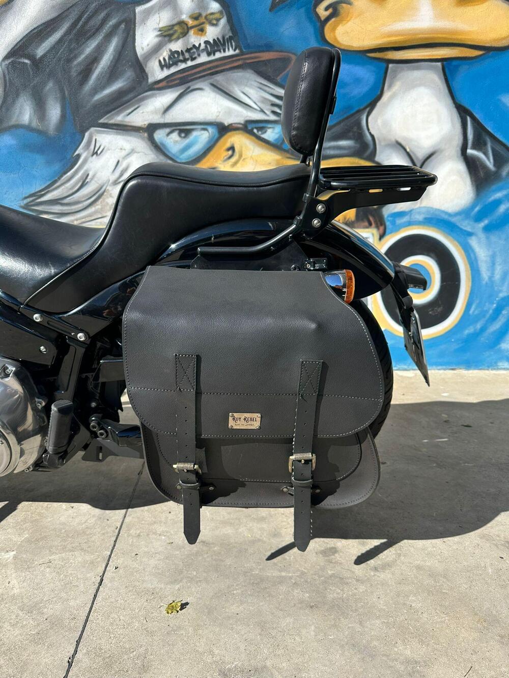 Harley-Davidson Softail Standard (2021 - 25) (9)