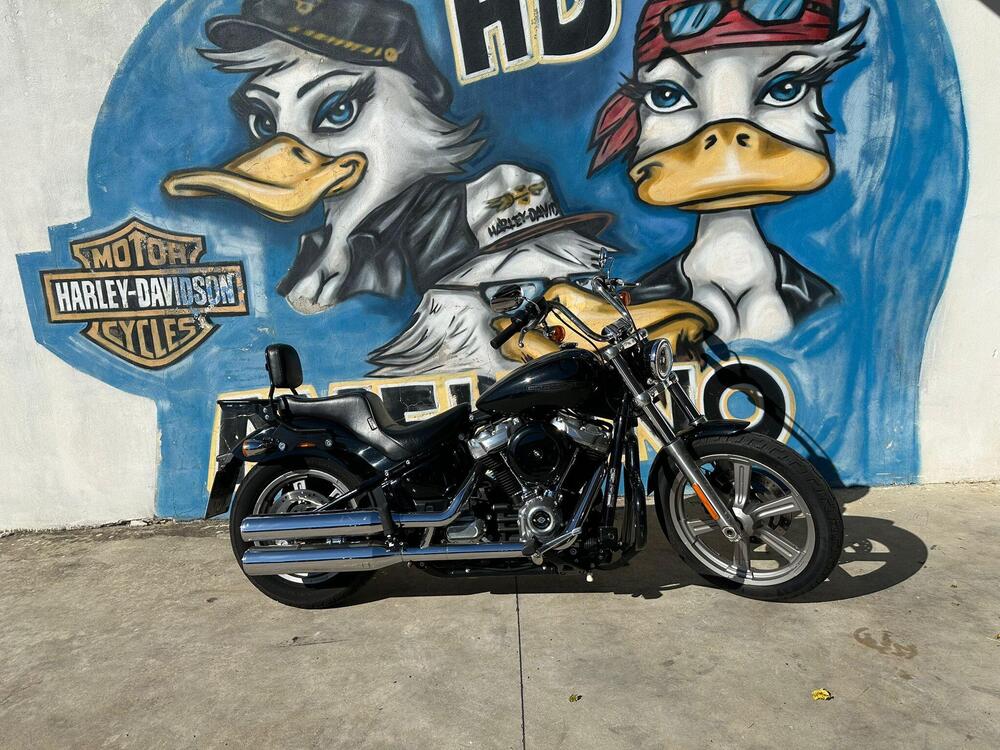 Harley-Davidson Softail Standard (2021 - 25) (10)