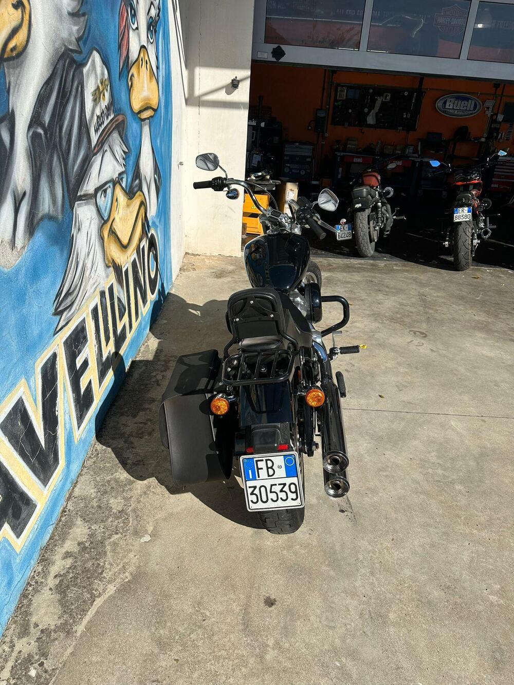 Harley-Davidson Softail Standard (2021 - 25) (6)