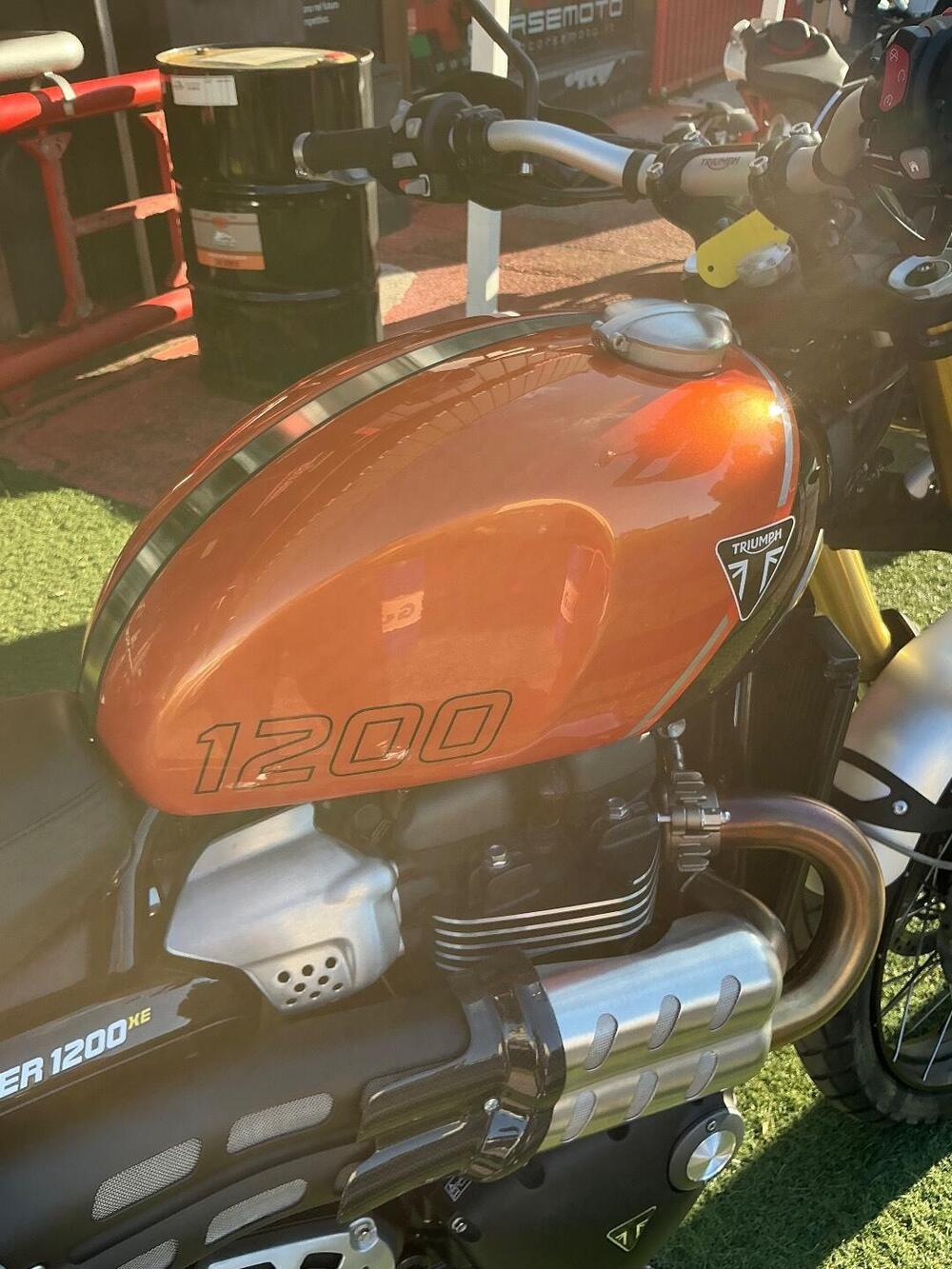 Triumph Scrambler 1200 XE (2024 - 25) (9)