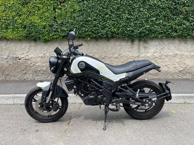 Benelli Leoncino 125 (2022 - 25) usata