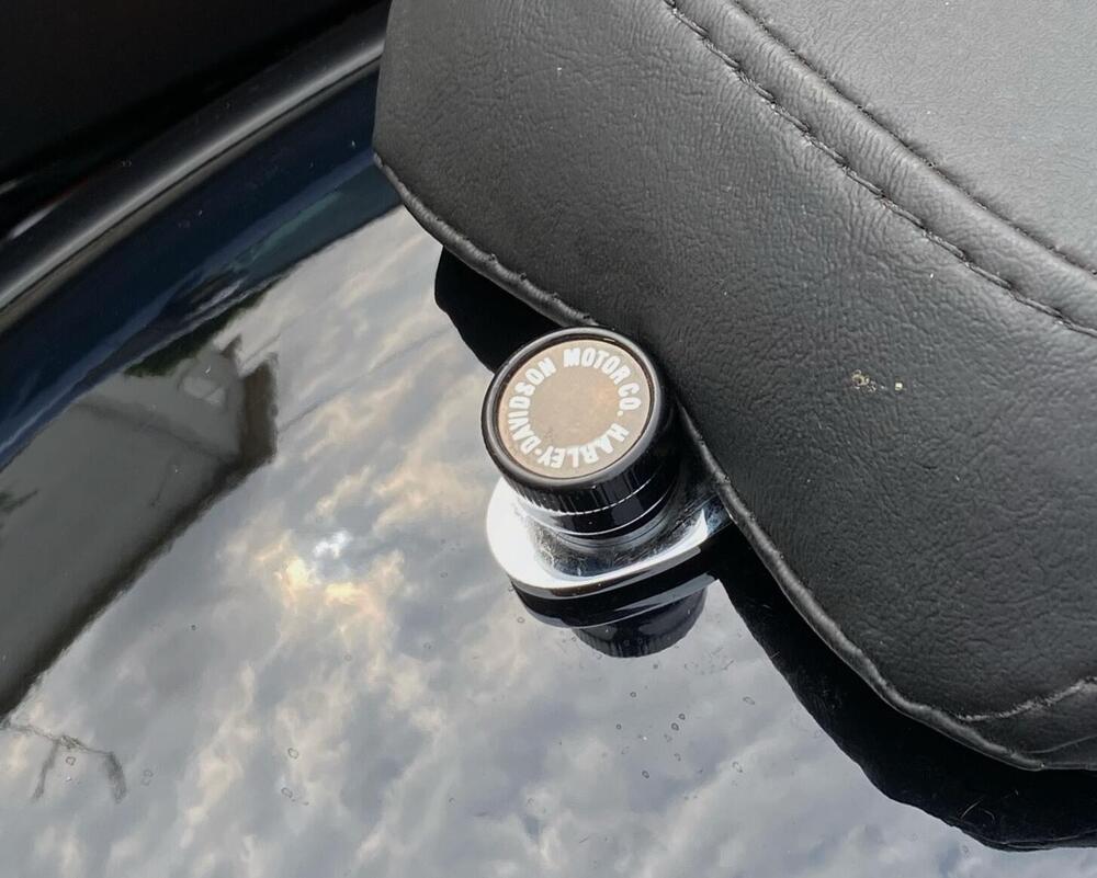 Harley-Davidson Low Rider ST (2022 - 24) (14)