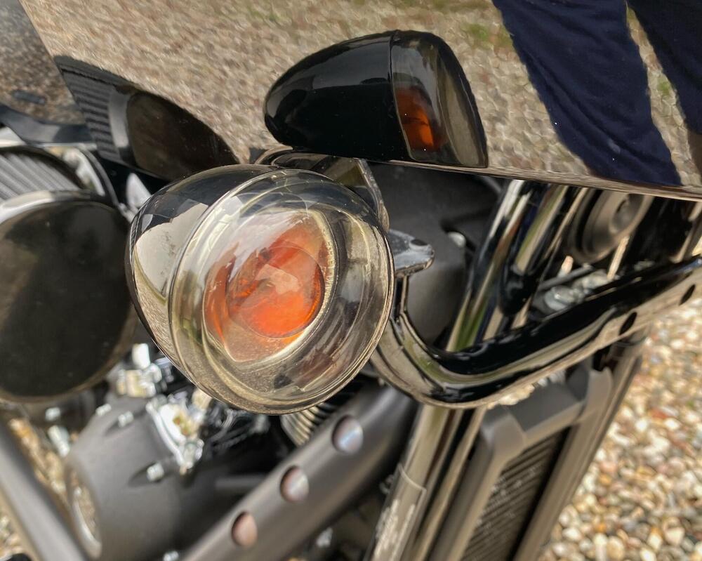 Harley-Davidson Low Rider ST (2022 - 24) (16)