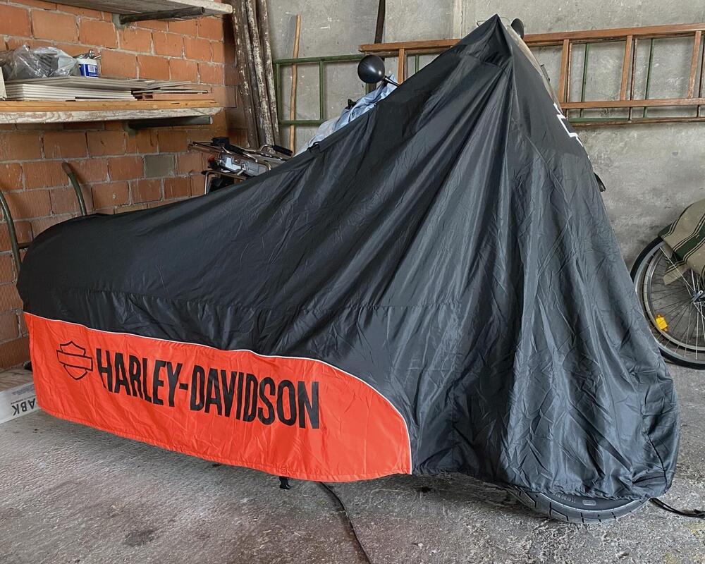 Harley-Davidson Low Rider ST (2022 - 24) (20)