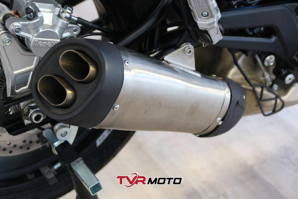 Benelli Leoncino 500 (2021 - 25) (13)