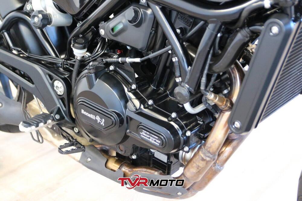 Benelli Leoncino 500 (2021 - 25) (12)