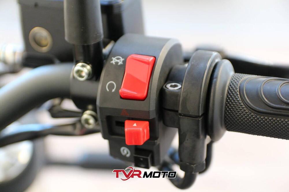 Benelli Leoncino 500 (2021 - 25) (15)