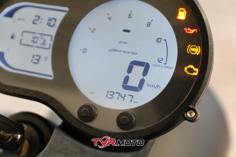 Benelli Leoncino 500 (2021 - 25) (16)