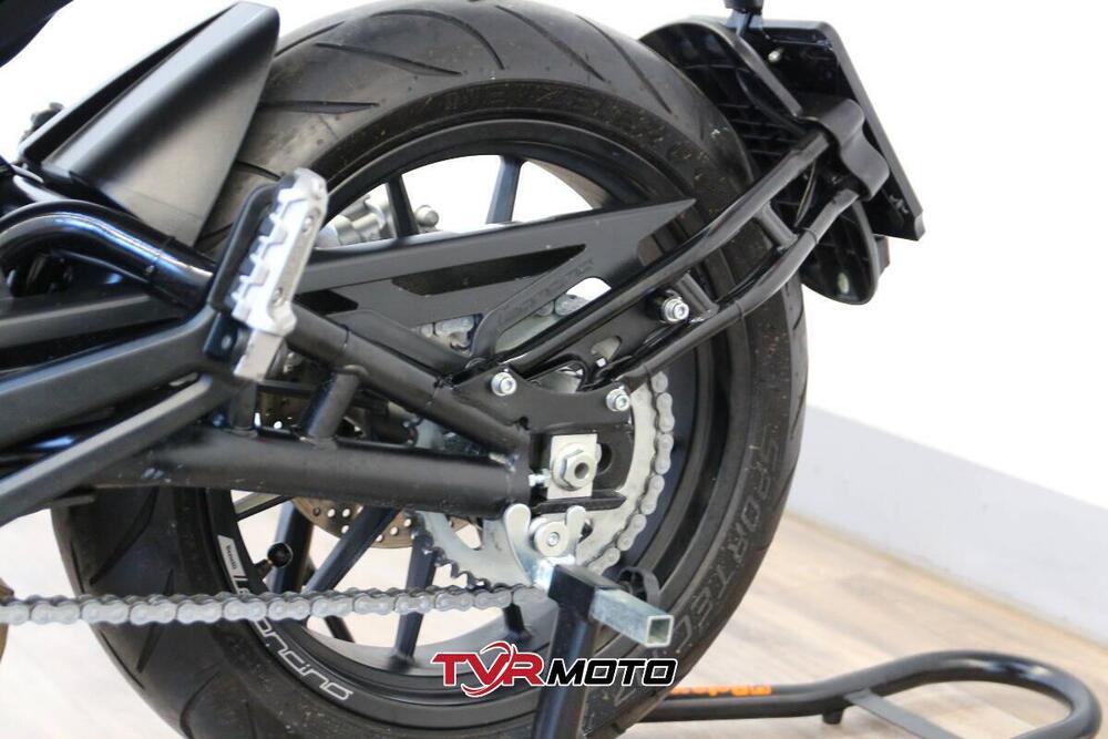 Benelli Leoncino 500 (2021 - 25) (9)