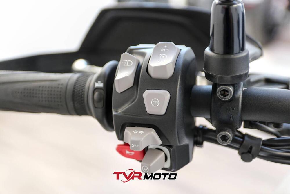 Triumph Tiger 900 Rally Pro (2020 - 23) (19)