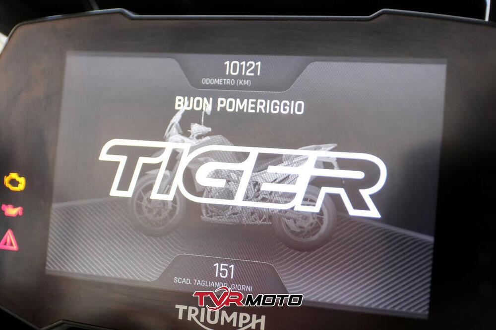 Triumph Tiger 900 Rally Pro (2020 - 23) (22)