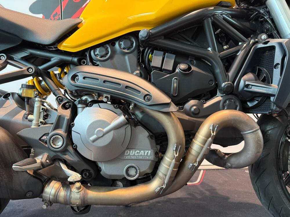 Ducati Monster 821 (2018 - 20) (4)
