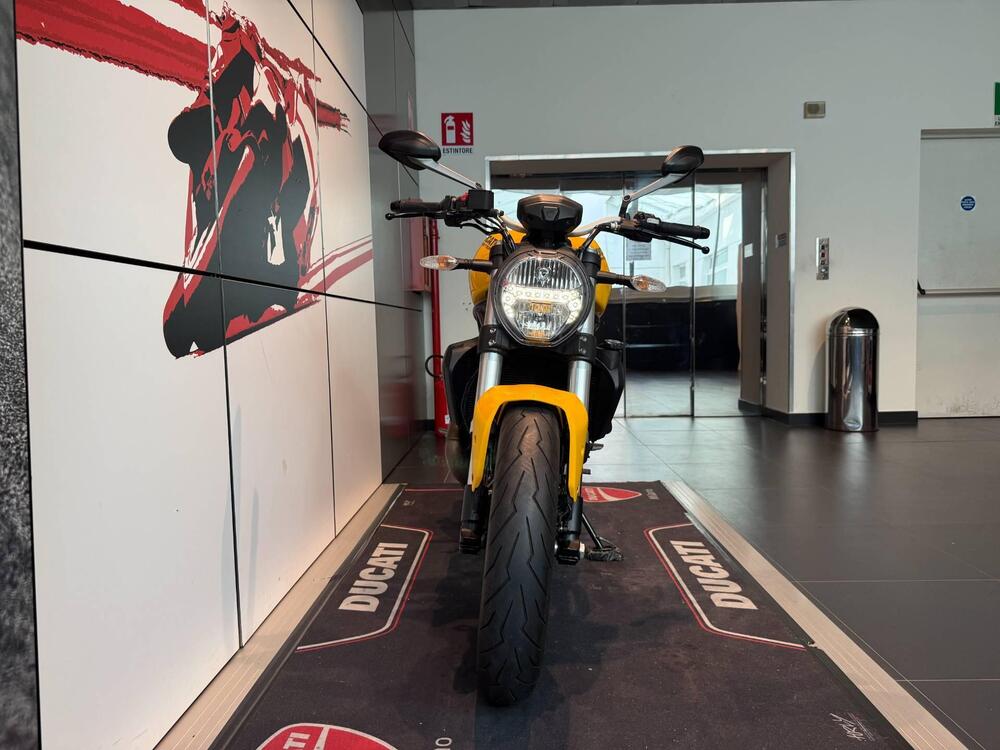 Ducati Monster 821 (2018 - 20) (15)