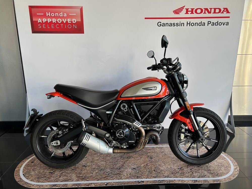 Ducati Scrambler 800 Icon (2017 - 20)