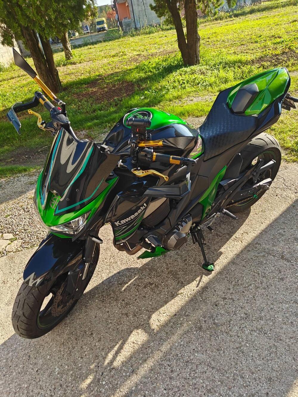 Kawasaki Z 800 Performance (2013 - 13)
