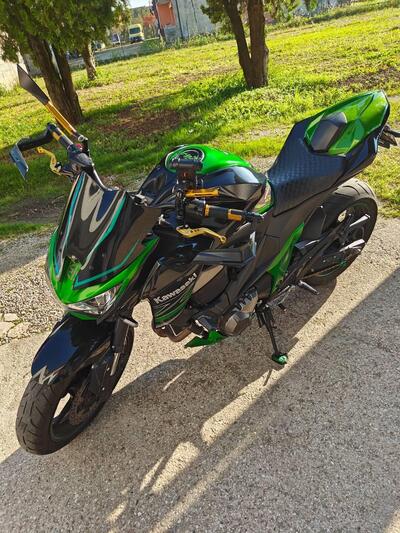 Kawasaki Z 800 Performance (2013 - 13) usata