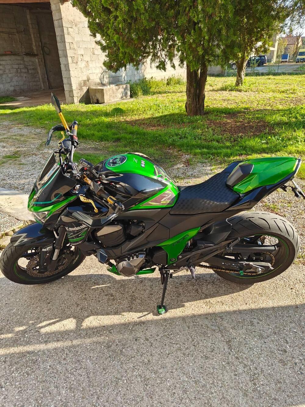 Kawasaki Z 800 Performance (2013 - 13) (5)