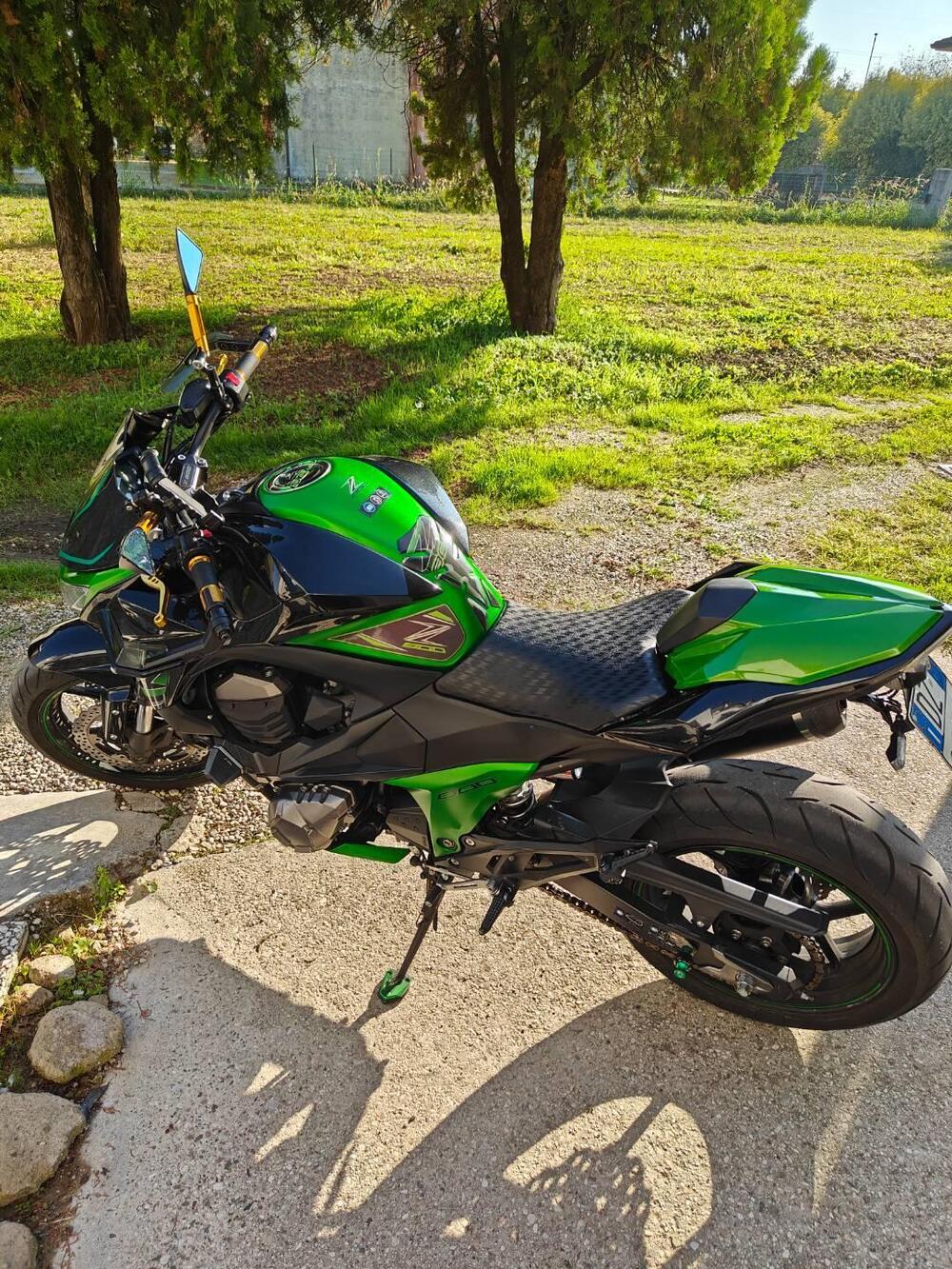 Kawasaki Z 800 Performance (2013 - 13) (6)