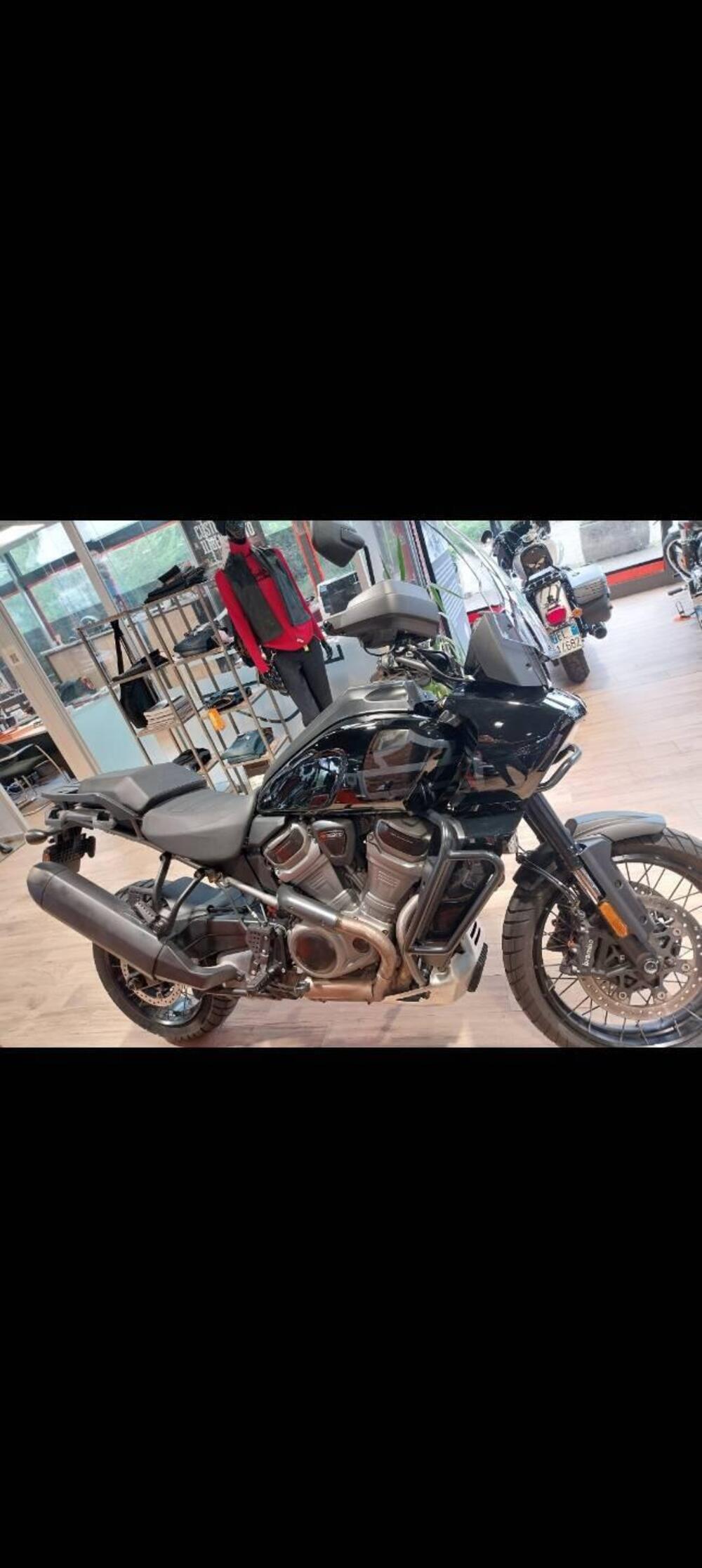 Harley-Davidson Pan America 1250 Special (2020 - 25)