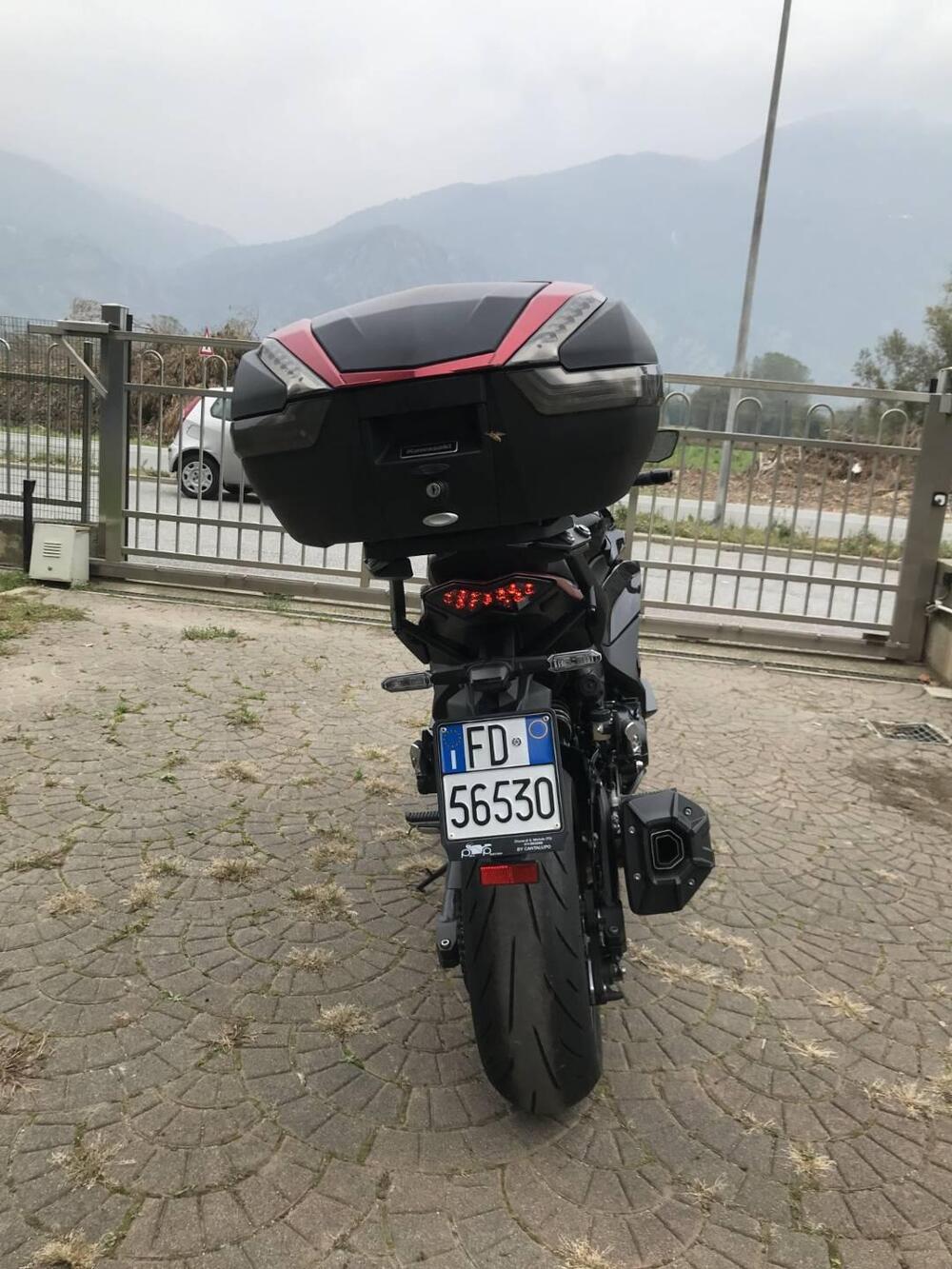 Kawasaki Ninja 1000 SX (2021 - 24) (2)