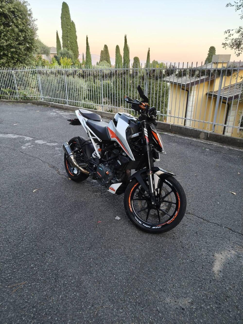 KTM 390 Duke (2021 - 23) (3)