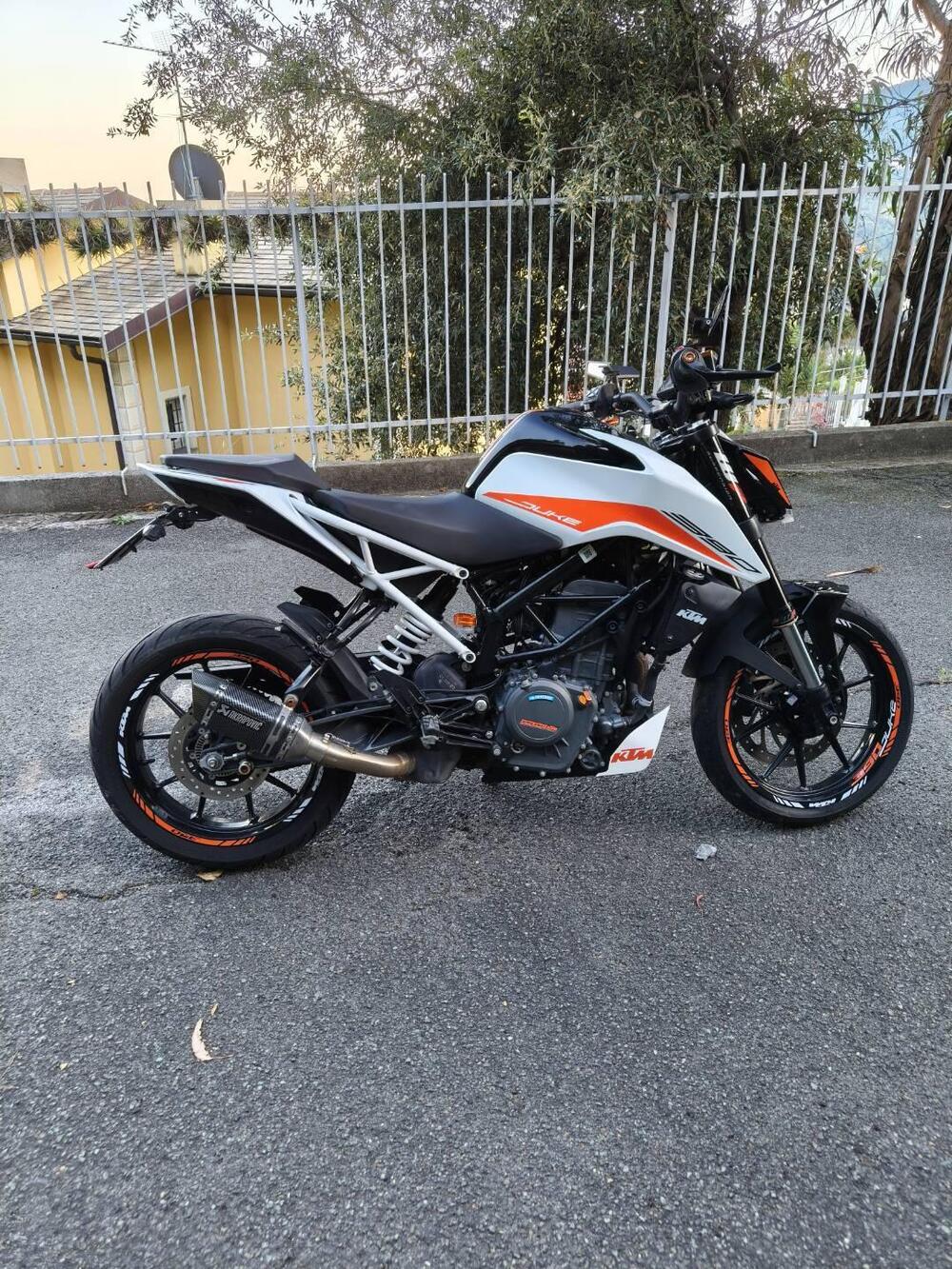 KTM 390 Duke (2021 - 23) (5)
