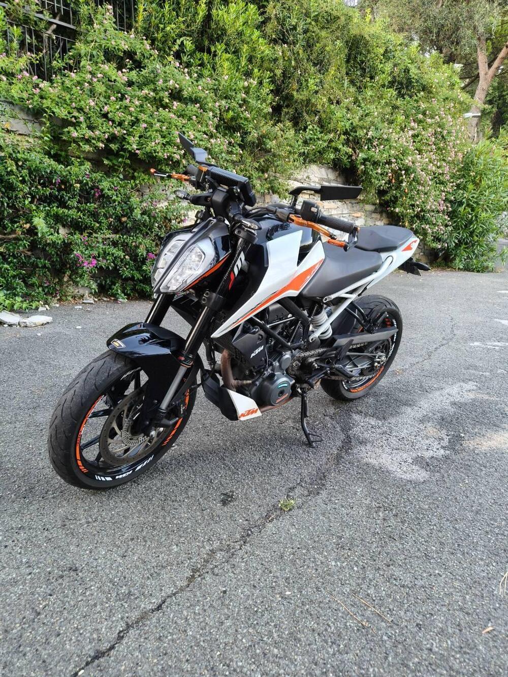 KTM 390 Duke (2021 - 23) (6)
