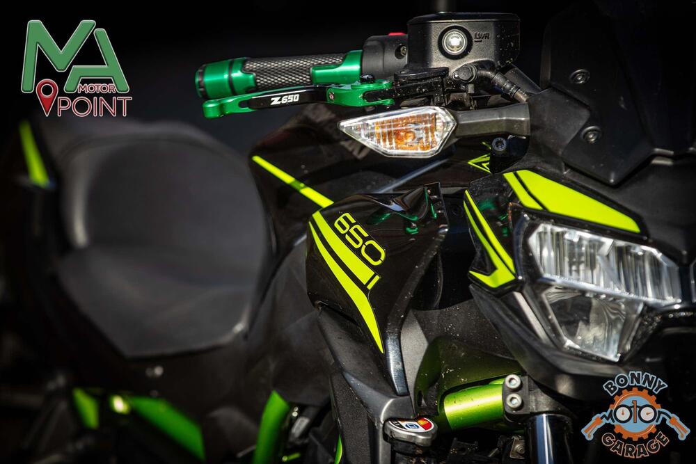 Kawasaki Z 650 (2020) (7)