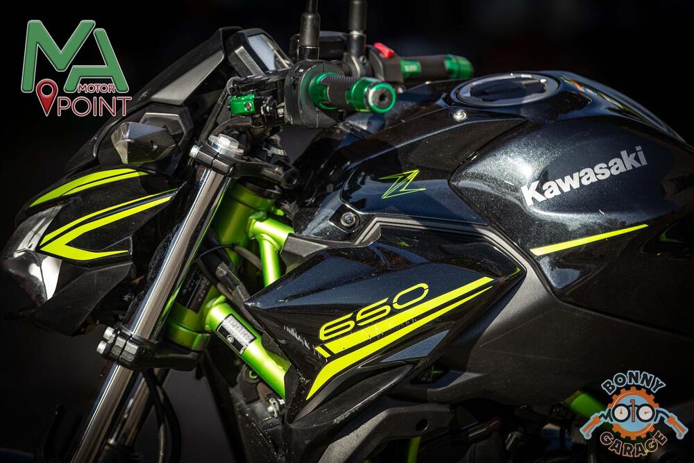 Kawasaki Z 650 (2020) (10)