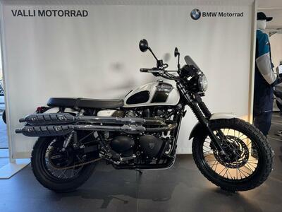 Triumph Scrambler (2006 - 17) usata