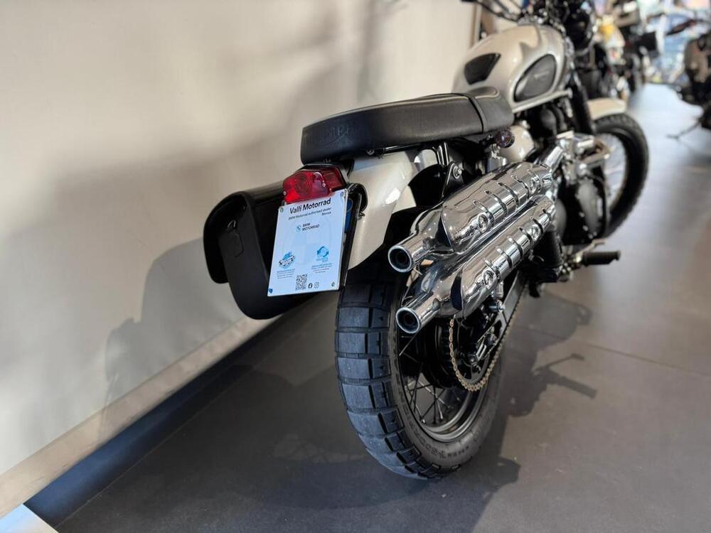 Triumph Scrambler (2006 - 17) (9)