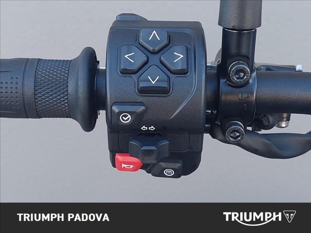 Triumph Speed Twin 900 (2025) (12)