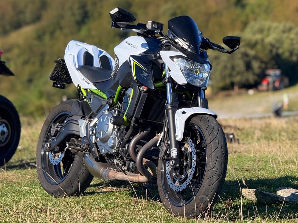 Kawasaki Z 650 (2017 - 19)