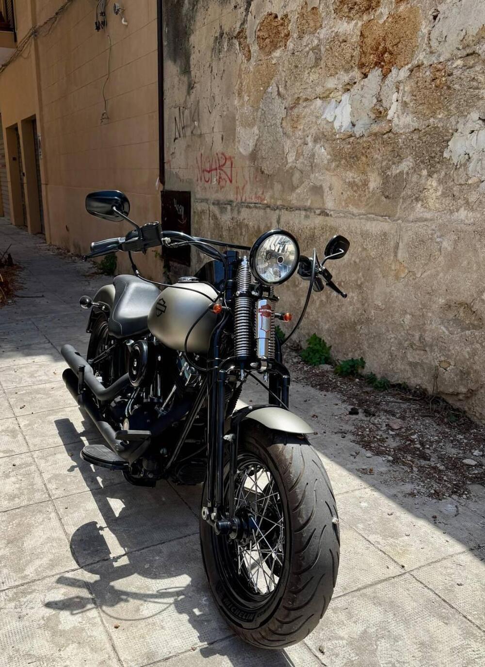 Harley-Davidson 1584 Cross Bones (2008 - 11) - FLSTSB (2)