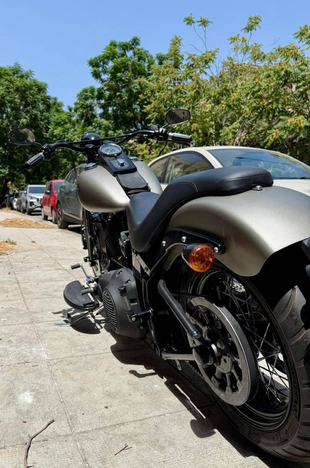 Harley-Davidson 1584 Cross Bones (2008 - 11) - FLSTSB (6)