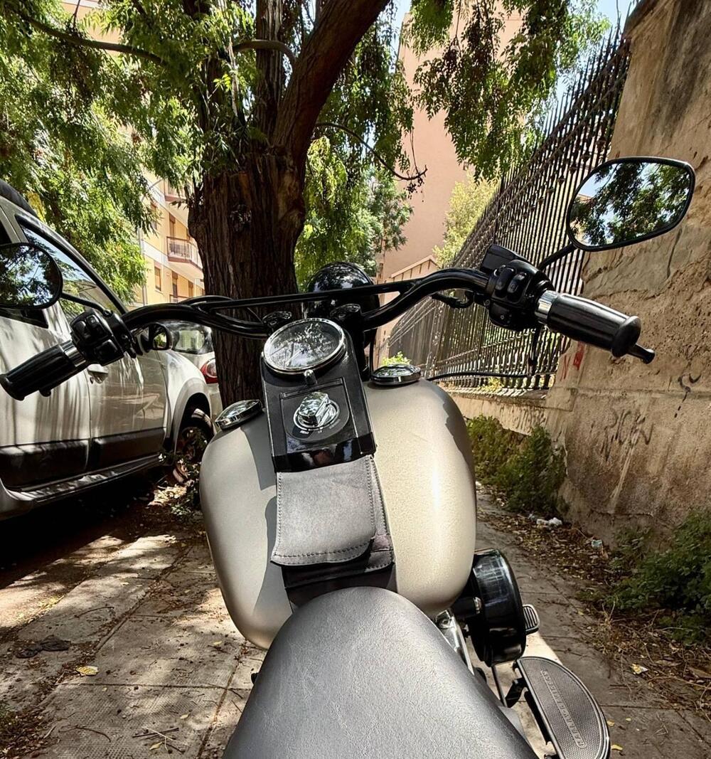 Harley-Davidson 1584 Cross Bones (2008 - 11) - FLSTSB (7)